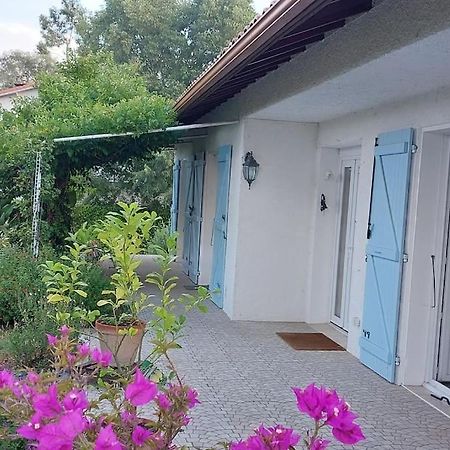 Villa De Charme Avec Piscine Saint-Jory Exteriör bild