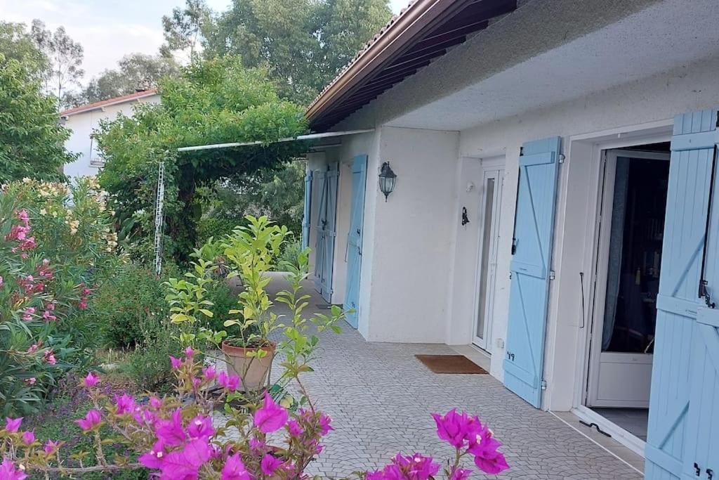 Villa De Charme Avec Piscine Saint-Jory Exteriör bild